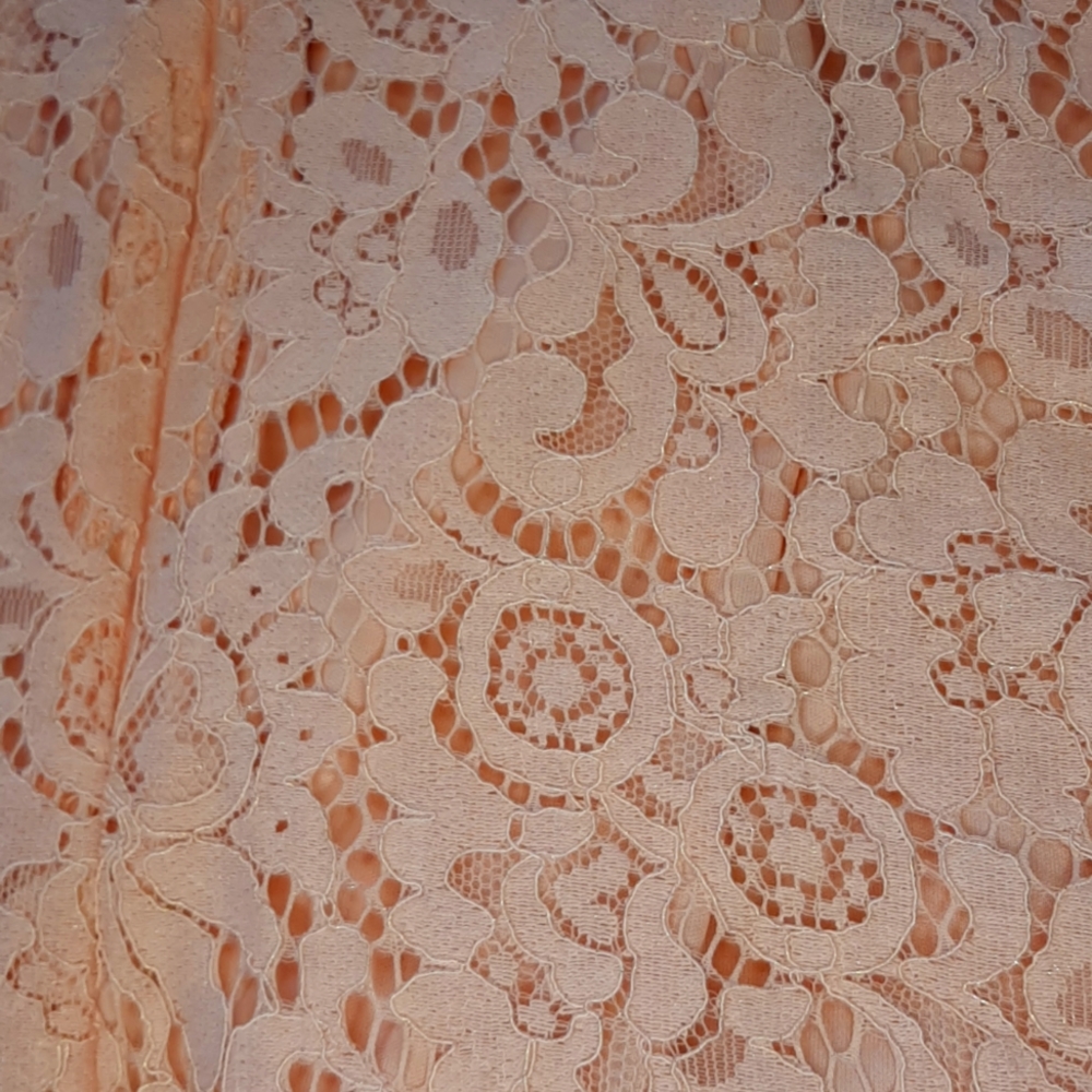 Francescas Closet Dusty Pink Lace Mini - Picture 7 of 9